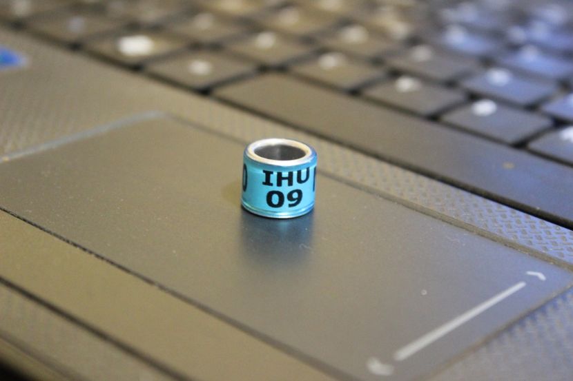 IHU 09  N - IRLANDA SUD IHU