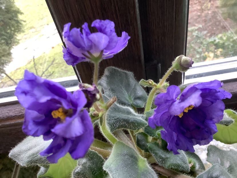 B6954B23-DF42-496B-AC78-781CF741A036 - EK Vladimir