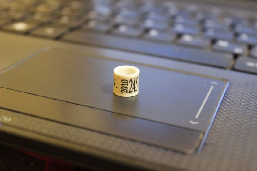 SRB  C.N. 2o1o - SERBIA