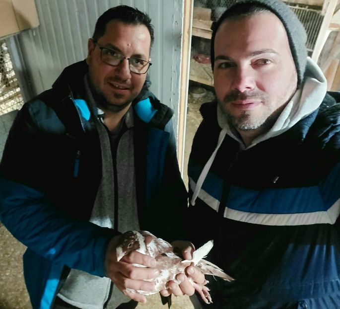 prietenul meu DanMantescu - 1--- AGH Contact 0766614616