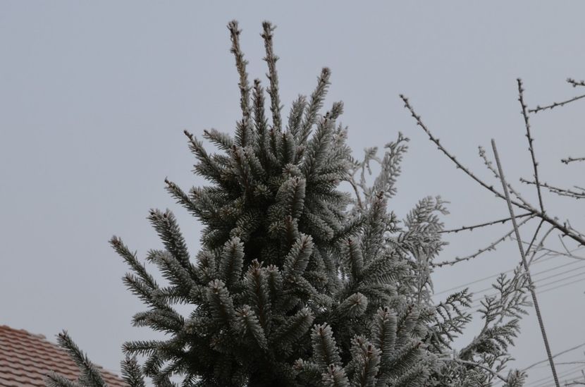  - dragostea  de natura