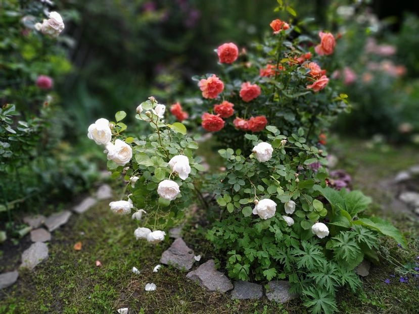  - Glamis Castle