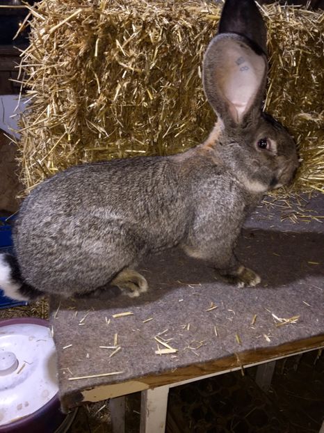 67F27AE0-0863-48C6-B4BE-9DDC5179D436 - RO 8-3039