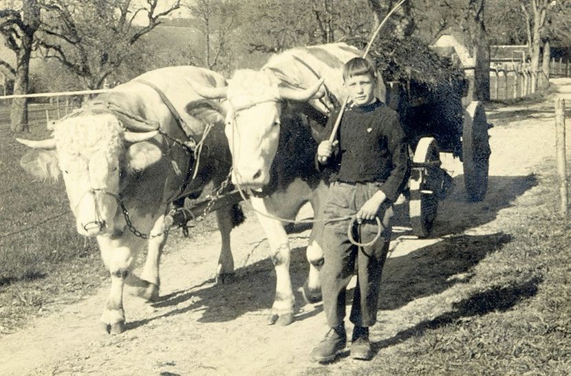 anno2 - Cunostiinte 4