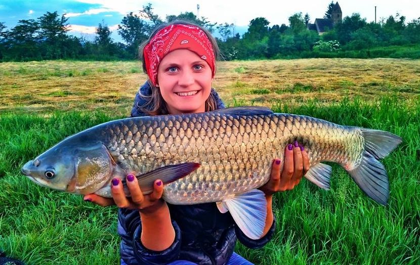 crinas fish - Cunostiinte 4
