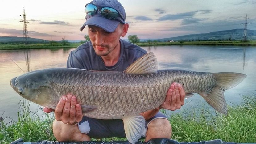 super - Cunostiinte 4