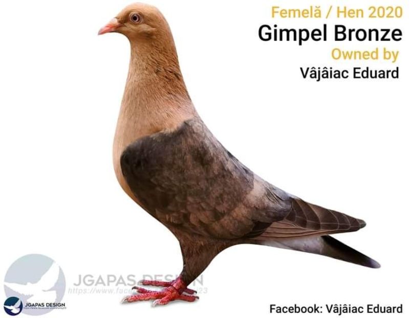  - NU IMI APARTIN ALBUM NR 2