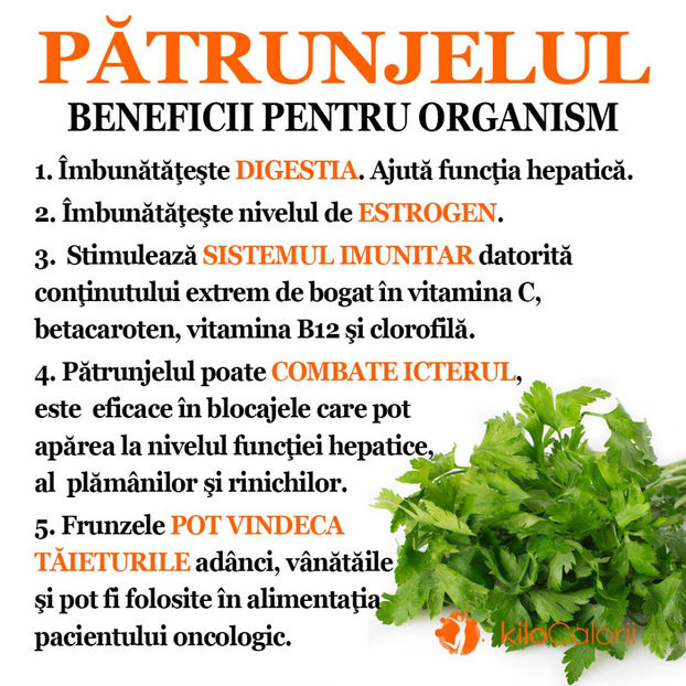 132687875_2827627550808889_8971267963952540493_o - Sfaturi Utile