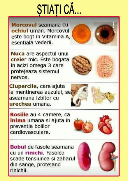  - Sfaturi Utile