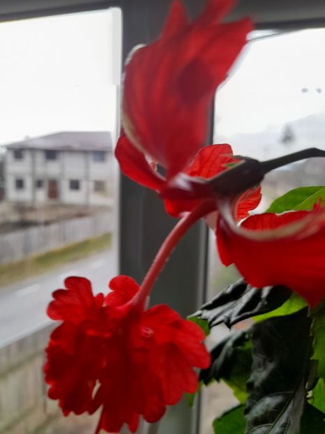  - Un nou inceput 2021