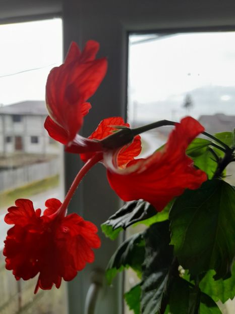  - Un nou inceput 2021