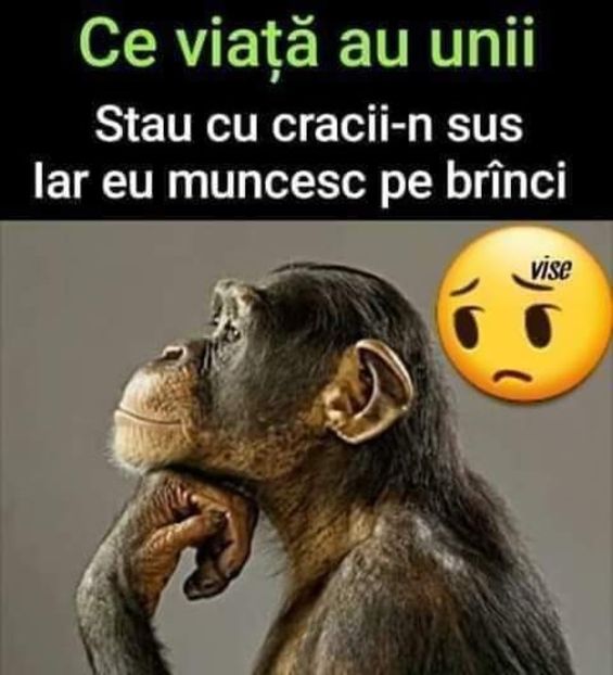  - Divertisment 2