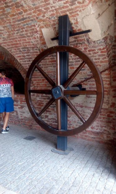14054494_1257212594290845_6143758295597425458_o_1257212594290845 - Alba Iulia 22 August 2016