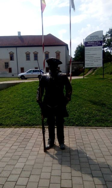 14102770_1257212677624170_3809915738050705724_o_1257212677624170 - Alba Iulia 22 August 2016