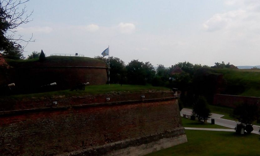 14125729_1257213740957397_1032912722020859045_o_1257213740957397 - Alba Iulia 22 August 2016