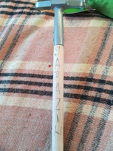 SAPAZIN ODIHNIT - 2021