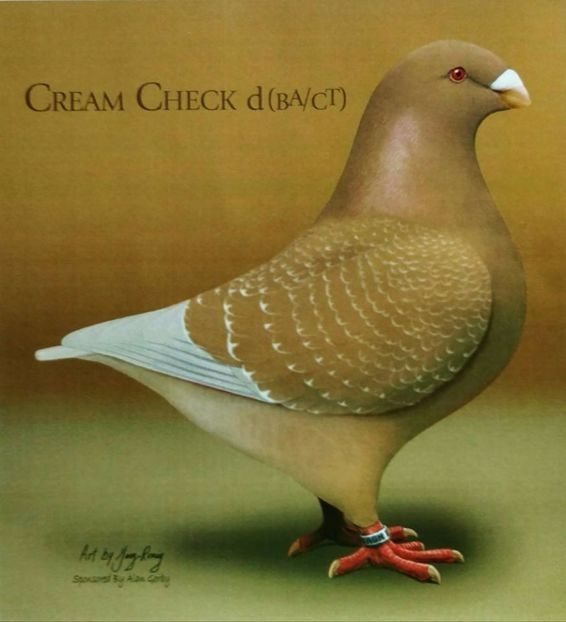  - Clasificare culori AGH