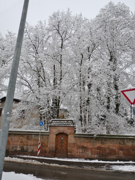  - 2020 - 04 - 2021 - 00 - Iarna