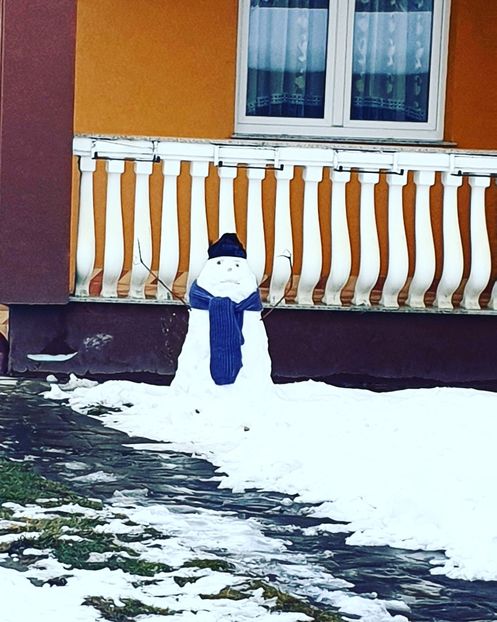  - Fotografii