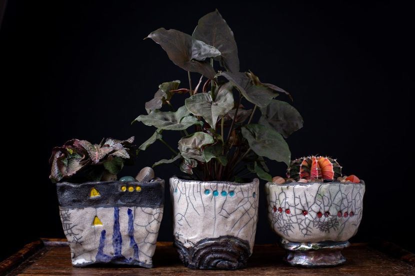 Pipyr Pottery﻿ - Vase - aranjamente - accesorii