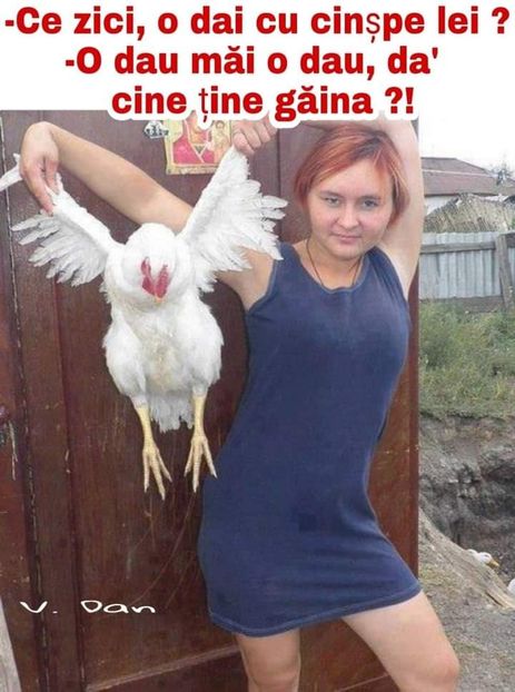  - Divertisment 2
