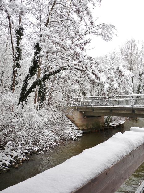  - 2020 - 04 - 2021 - 00 - Iarna