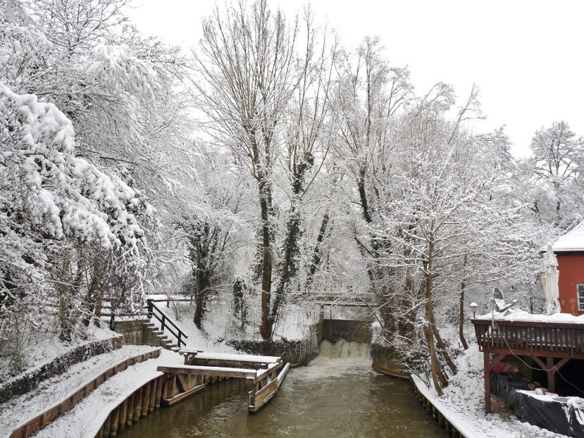  - 2020 - 04 - 2021 - 00 - Iarna