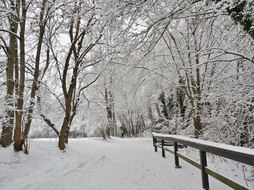  - 2020 - 04 - 2021 - 00 - Iarna