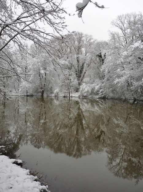  - 2020 - 04 - 2021 - 00 - Iarna