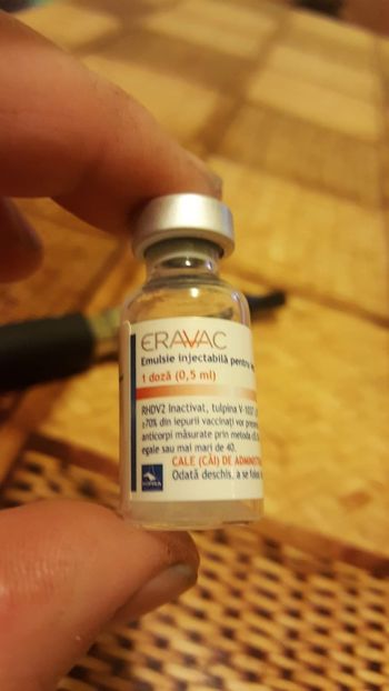  - MEDICAMENTE IEPURI