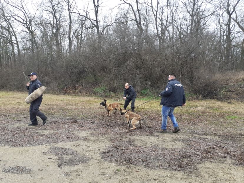  - Frumuseți în slujba țări 1 Decembrie 2019 Deva