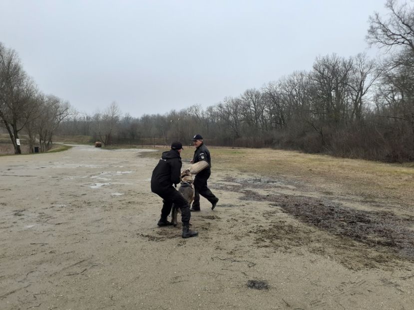  - Frumuseți în slujba țări 1 Decembrie 2019 Deva