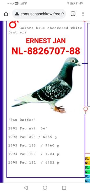 Pau Doffer - strabunic - LITTLE JEANNE - Jan Ernest Steenbergen NL strănepoata TELETEXT și PAU DOFFER