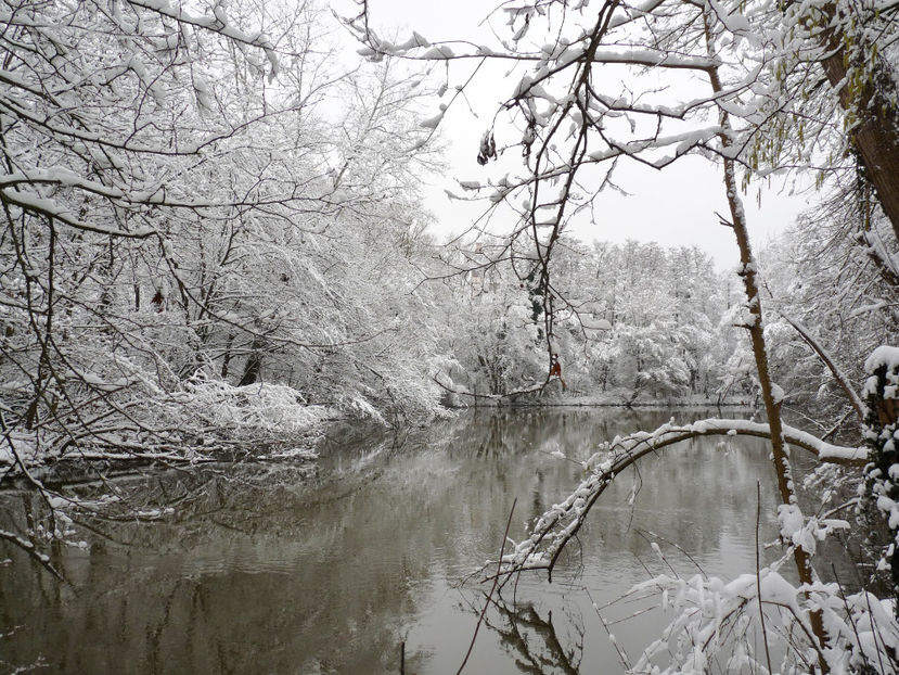  - 2020 - 04 - 2021 - 00 - Iarna