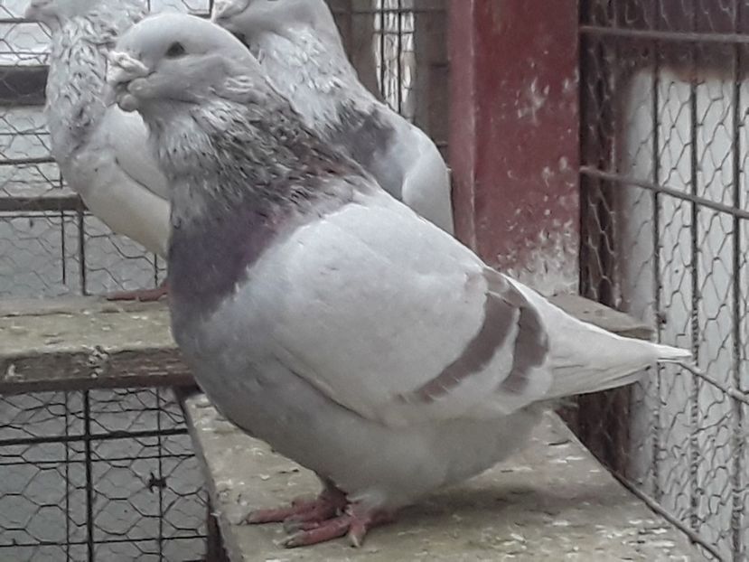 20210211_084318(1) - CONTACT