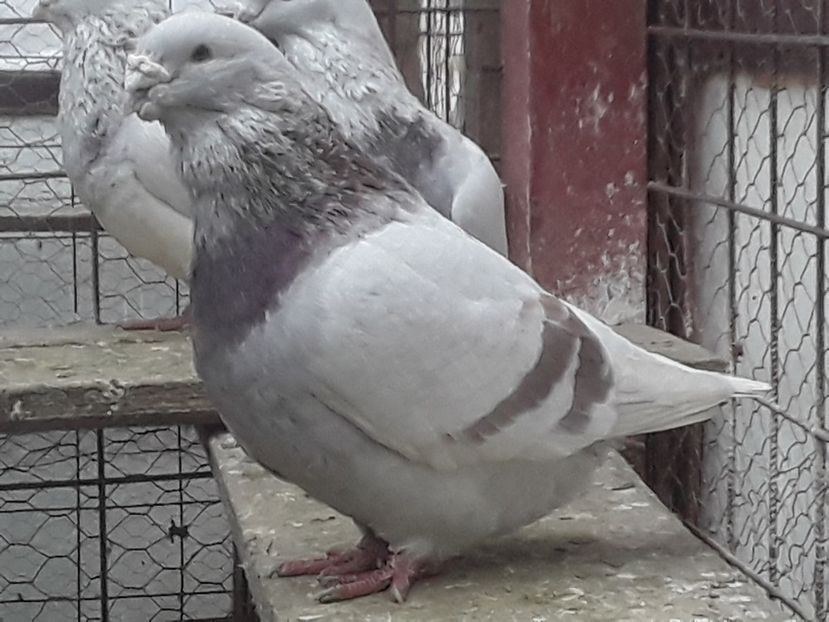 20210211_084318(0) - CONTACT