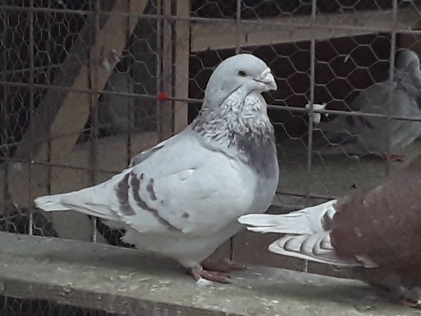 20210211_083419(0) - CONTACT