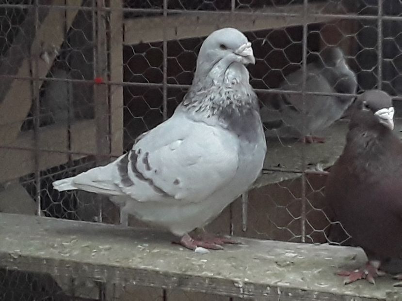 20210211_083329(0) - CONTACT