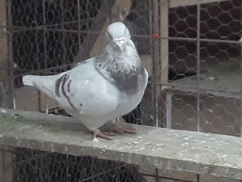 20210211_083237(0) - CONTACT