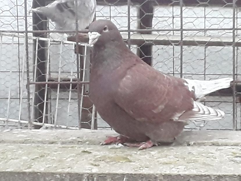 20210211_083209(0) - CONTACT