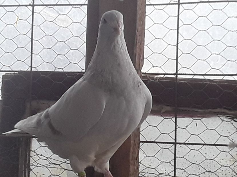 20210130_101632 (1) - CONTACT