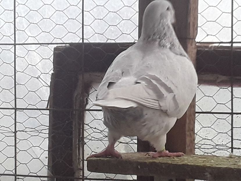 20210130_101631 (1) - CONTACT