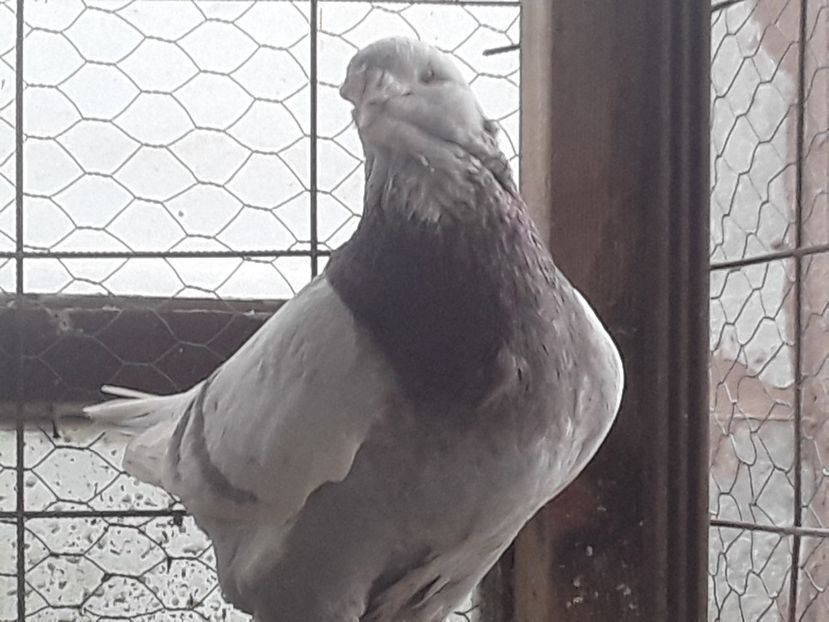 20210130_101619 (1) - CONTACT