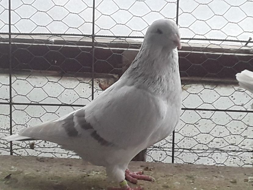 20210130_101612 (1) - CONTACT