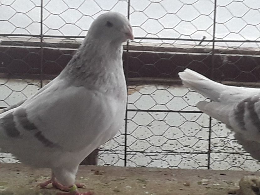 20210130_101611 (1) - CONTACT