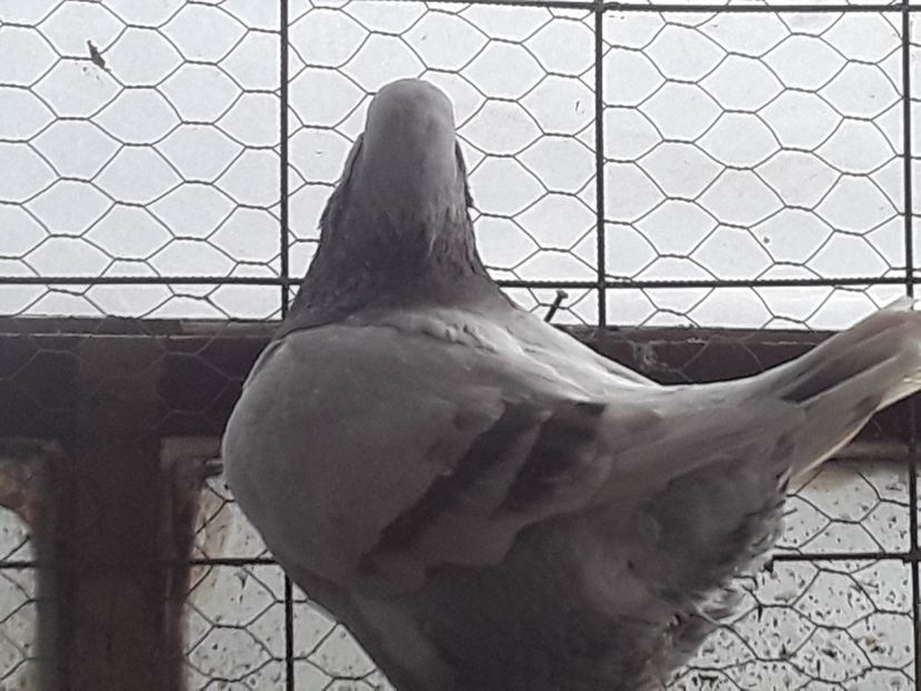 20210130_101601 (1) - CONTACT