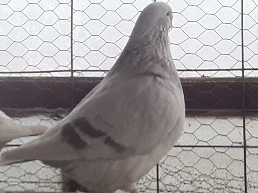 20210130_101553(0) - CONTACT