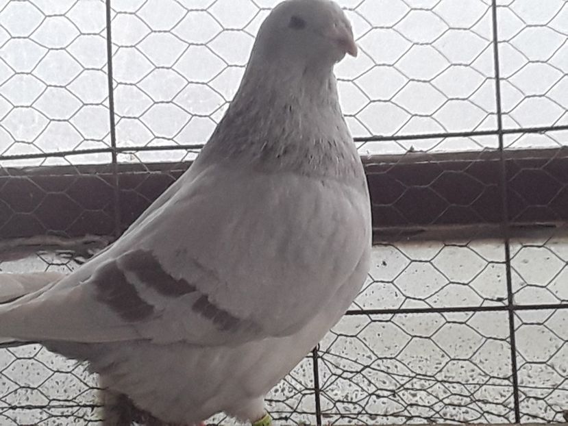 20210130_101551 (1) - CONTACT