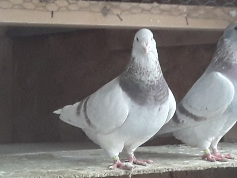 20210130_101516 (1) - CONTACT