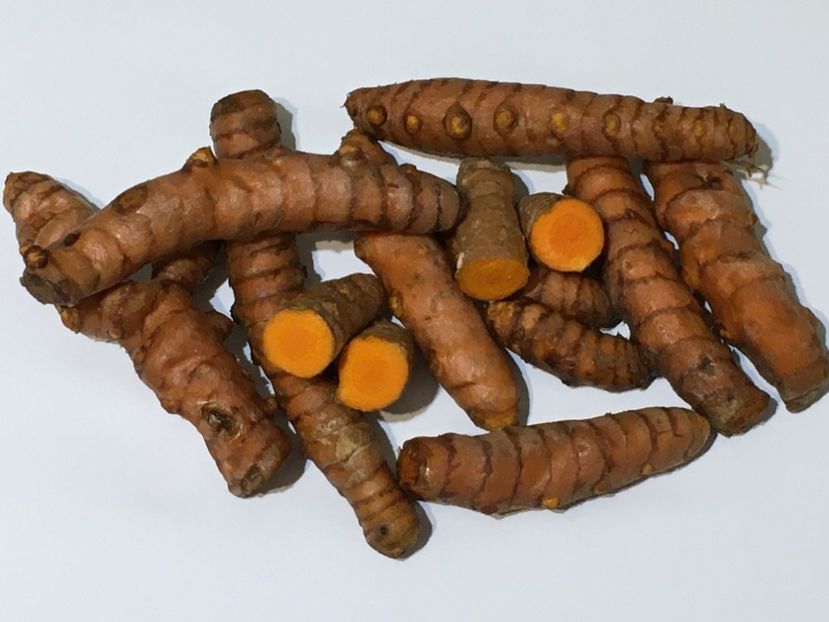 Turmeric - TURMERIC in ghiveci